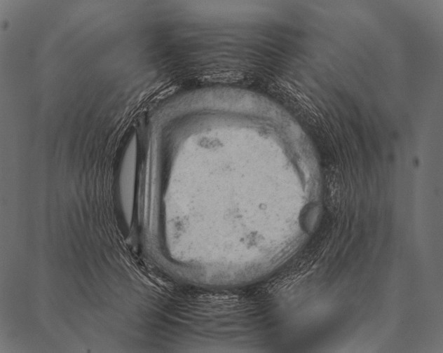 X0000087310745200705180945