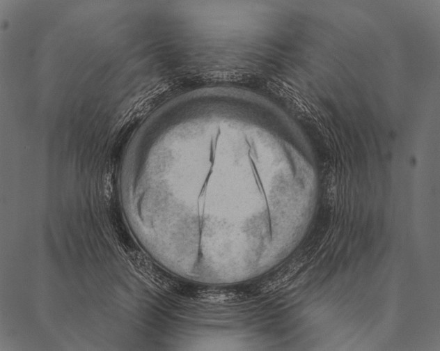 X0000087310746200705180945