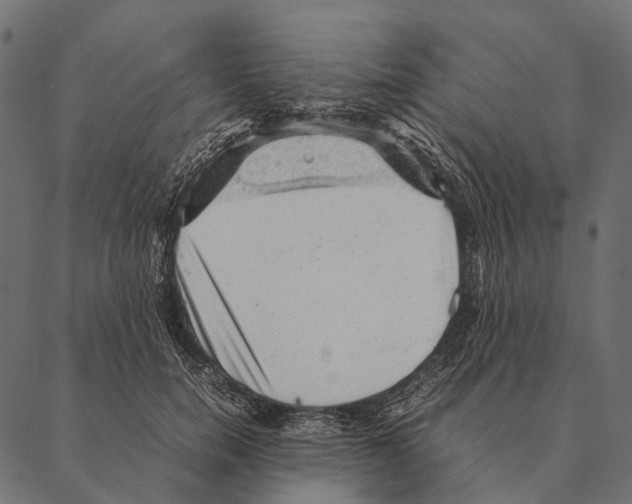 X0000087310750200705180945