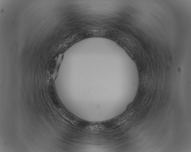 X0000087310752200705180945