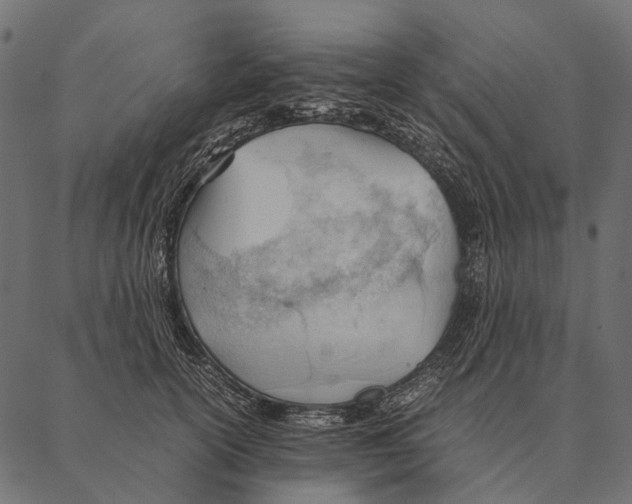 X0000087310754200705180945