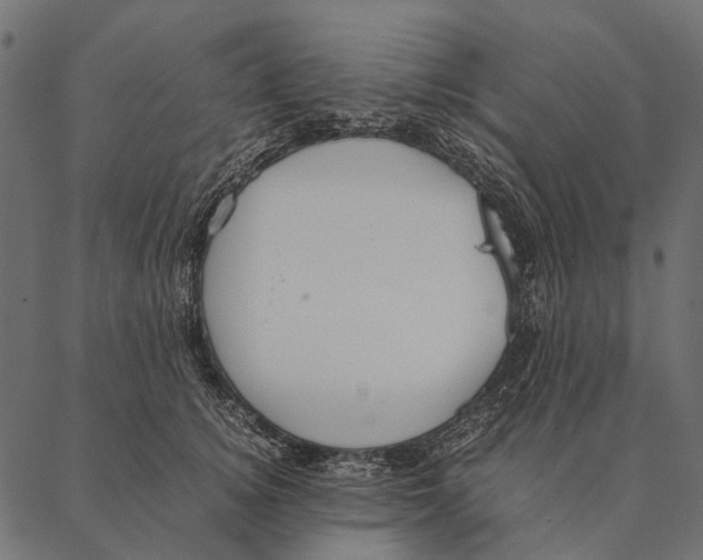 X0000087310756200705180946