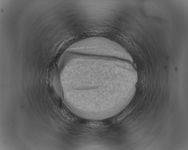 X0000087310758200705180946