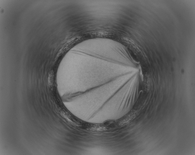 X0000087310760200705180946