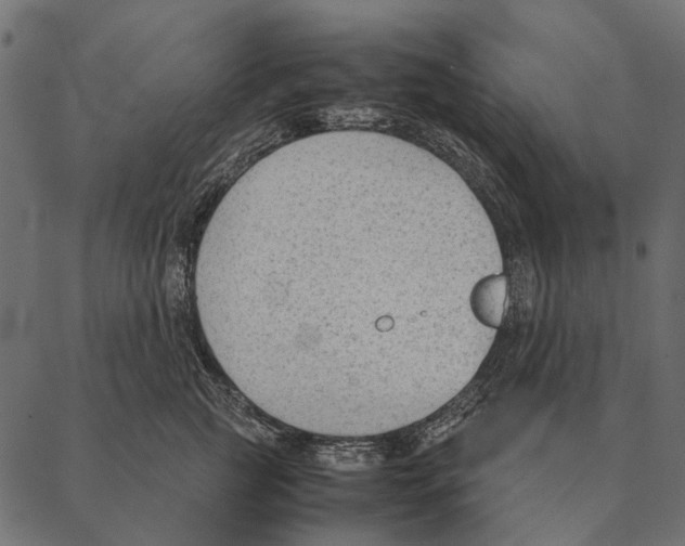 X0000087310761200705180946