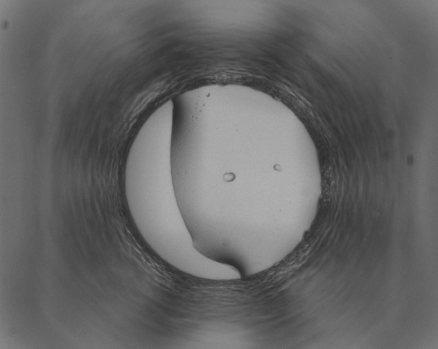 X0000087310762200705180946