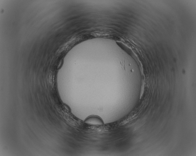 X0000087310763200705180946