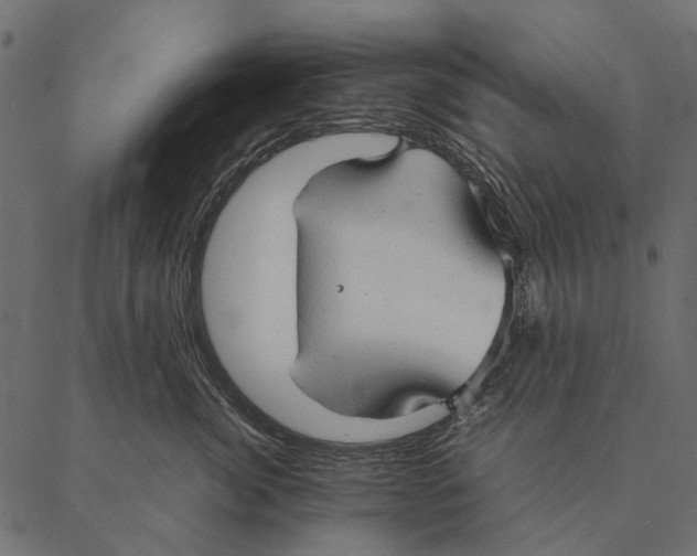 X0000087310764200705180946