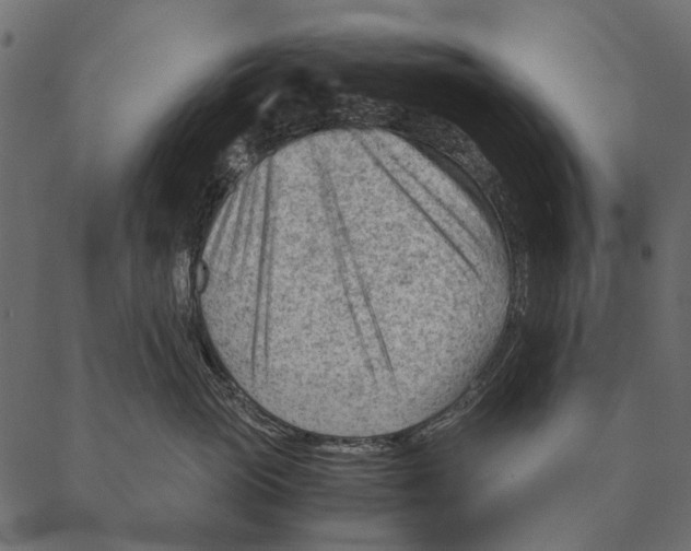 X0000087310765200705180946