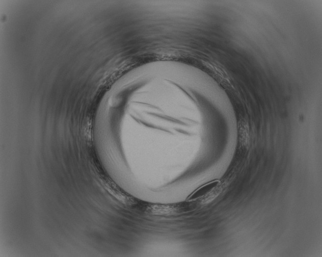 X0000087310766200705180946