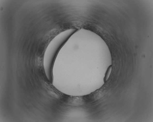 X0000087310768200705180946