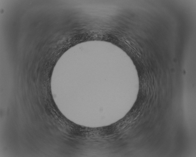 X0000087310769200705180945