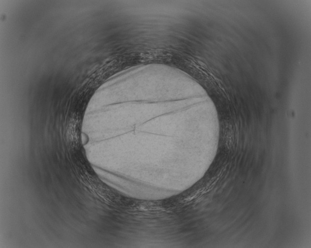 X0000087310770200705180945