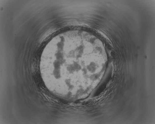 X0000087310775200705180945