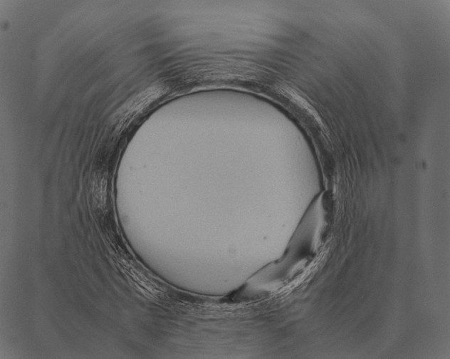 X0000087310777200705180945