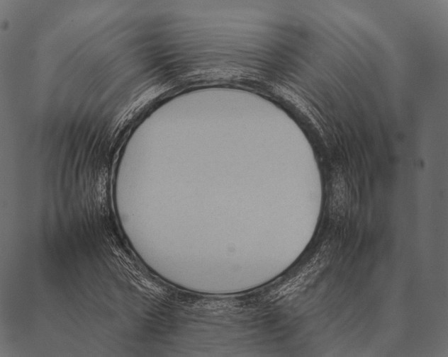 X0000087310778200705180945