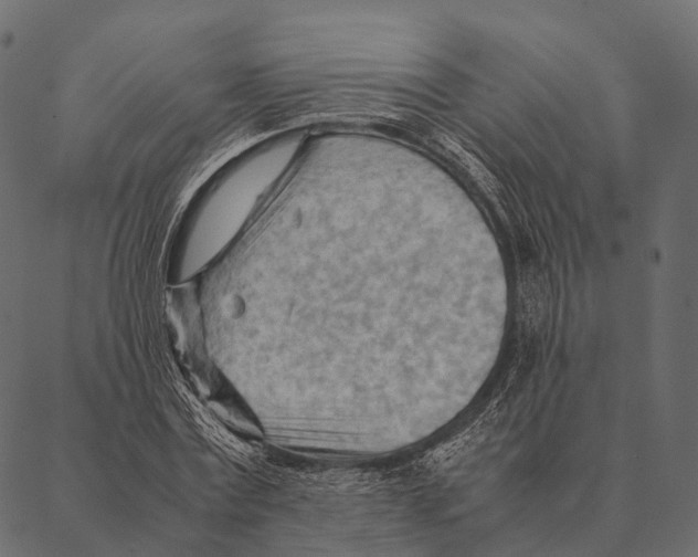 X0000087310779200705180945