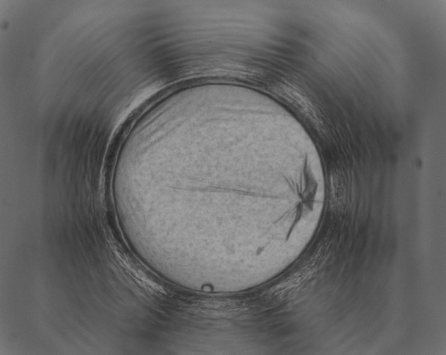 X0000087310780200705180945