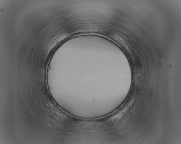 X0000087310781200705180945