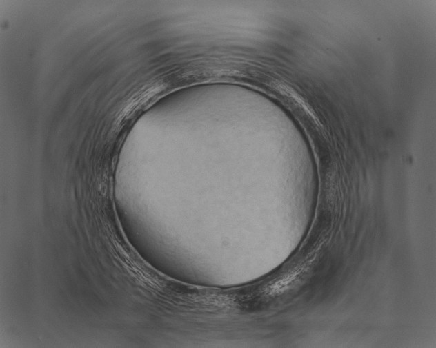 X0000087310785200705180945