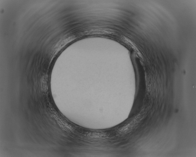 X0000087310786200705180945