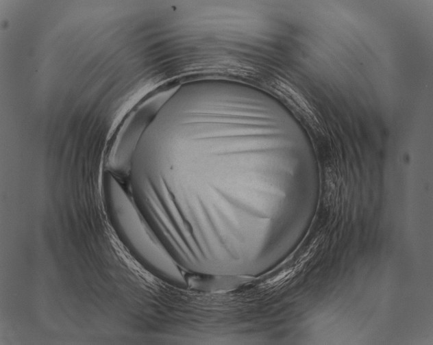 X0000087310788200705180945