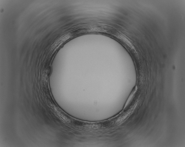 X0000087310793200705180945