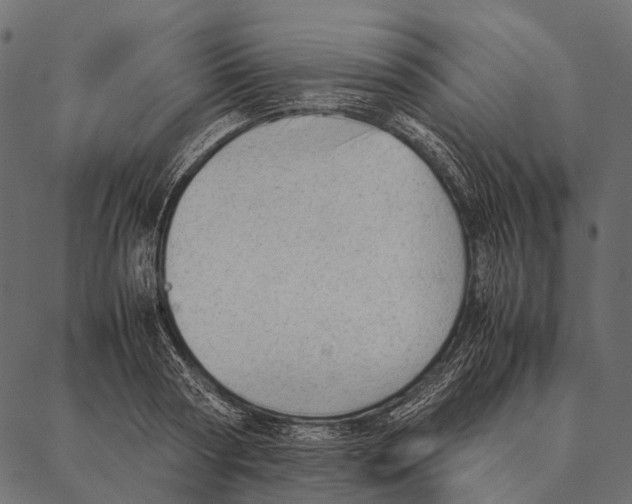 X0000087310794200705180945