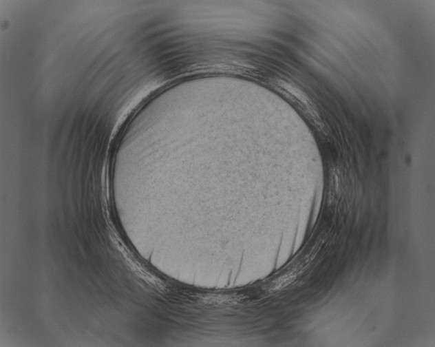 X0000087310796200705180944