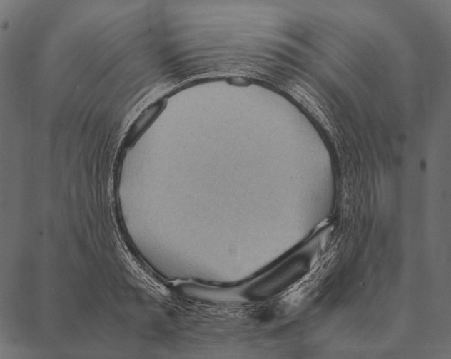 X0000087310797200705180944