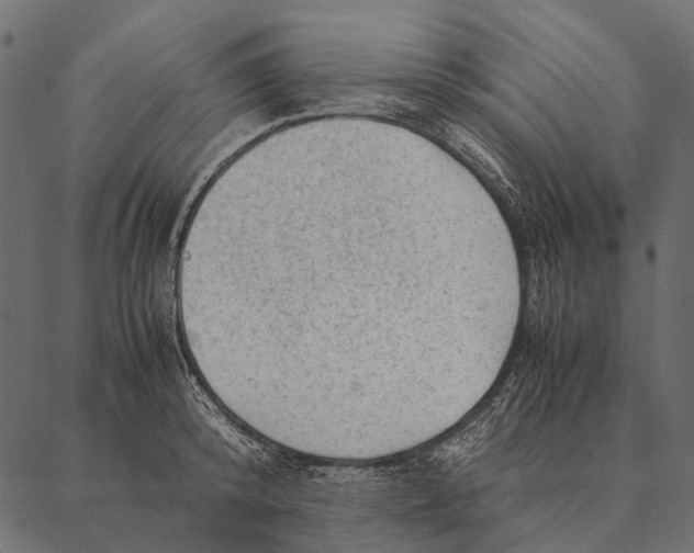 X0000087310800200705180944