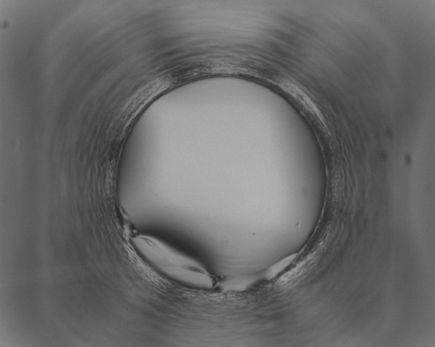 X0000087310801200705180944