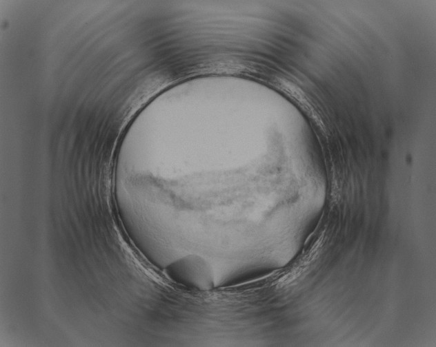 X0000087310802200705180944