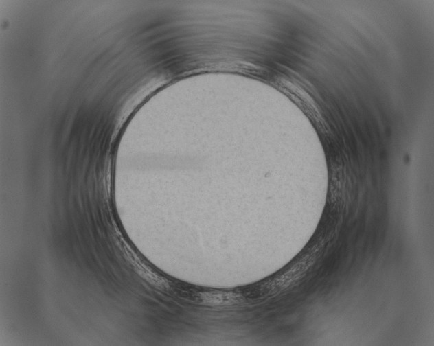 X0000087310804200705180944