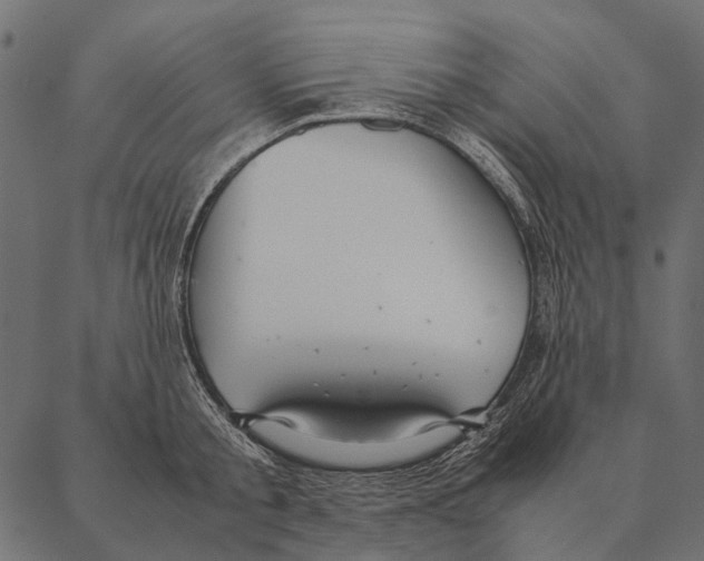 X0000087310805200705180944