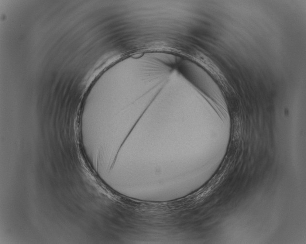 X0000087310806200705180944