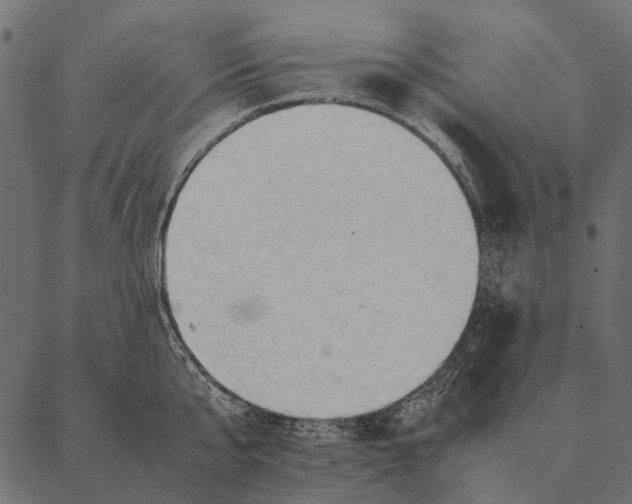 X0000087310807200705180944