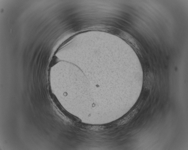 X0000087310808200705180944