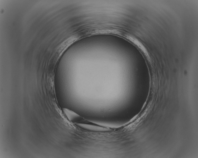 X0000087310809200705180944