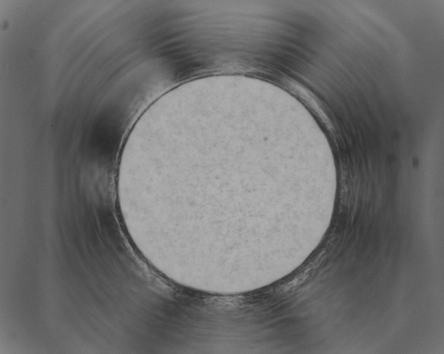 X0000087310810200705180944