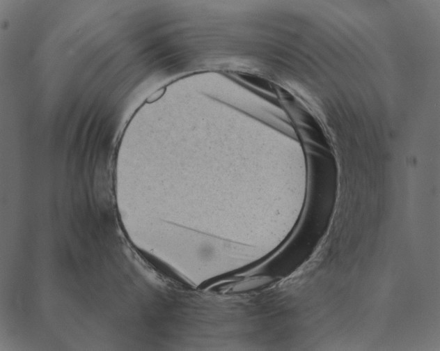 X0000087310816200705180944