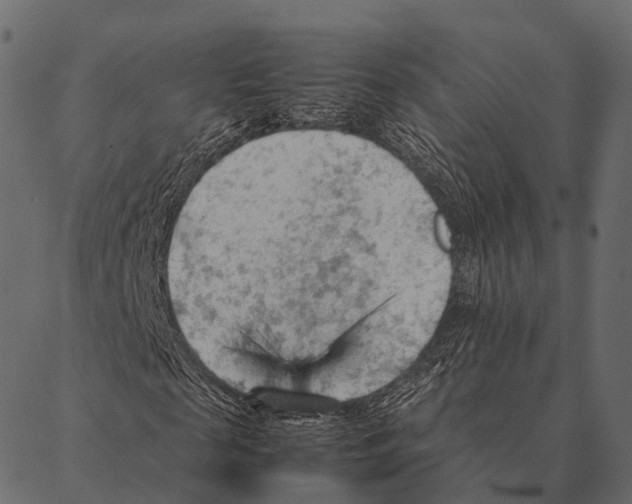 X0000087310817200705180943