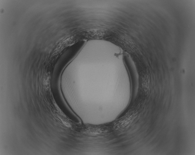 X0000087310818200705180943