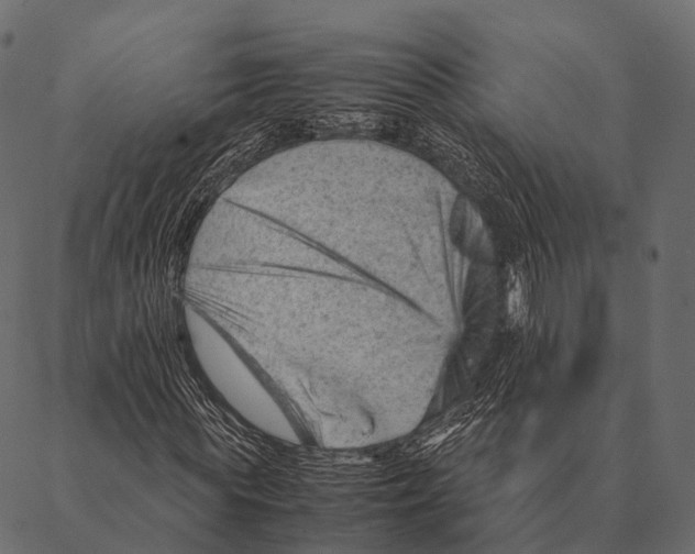 X0000087310819200705180943