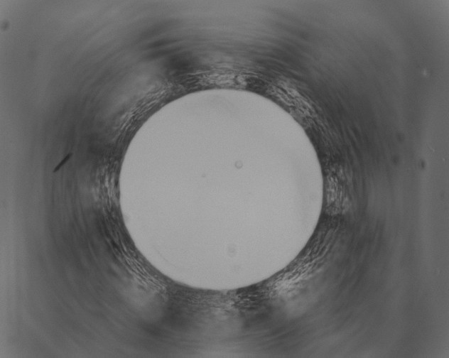 X0000087310820200705180943