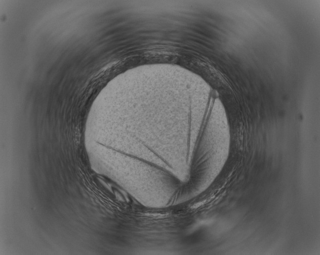 X0000087310821200705180943