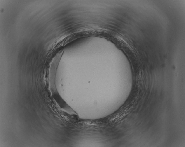 X0000087310822200705180943