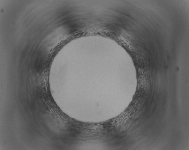 X0000087310824200705180943