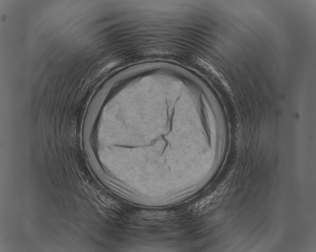 X0000087310825200705180944