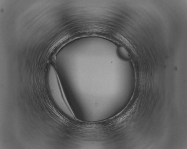 X0000087310826200705180944